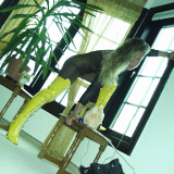  fetisch bilder gratis